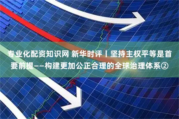 专业化配资知识网 新华时评丨坚持主权平等是首要前提——构建更加公正合理的全球治理体系②